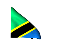 Tanzania Waving Flag