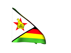 Zim Waving Flag